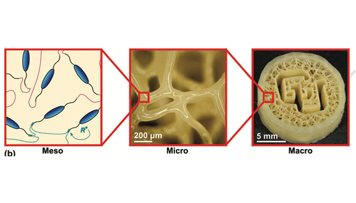 3D printed liquid crystal elastomers