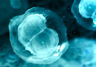 bioprinted ovary