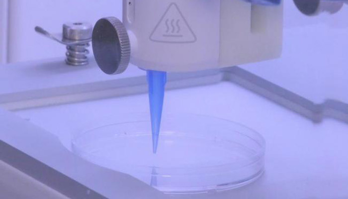 bioprinted vascularized skin