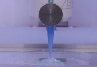 bioprinted vascularized skin