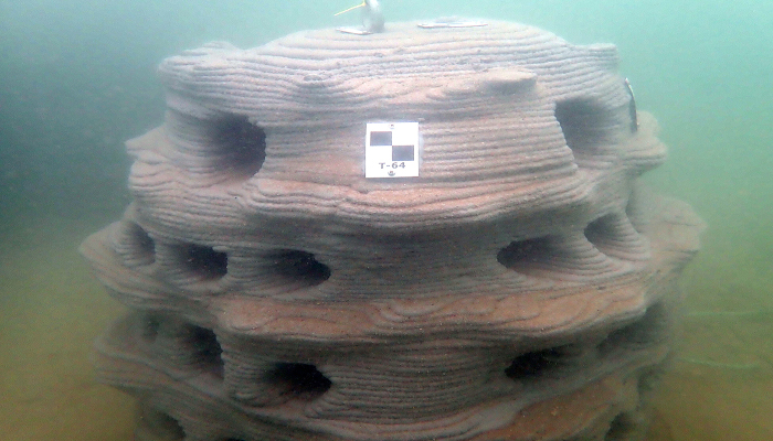 3D printed reef on the sea floor