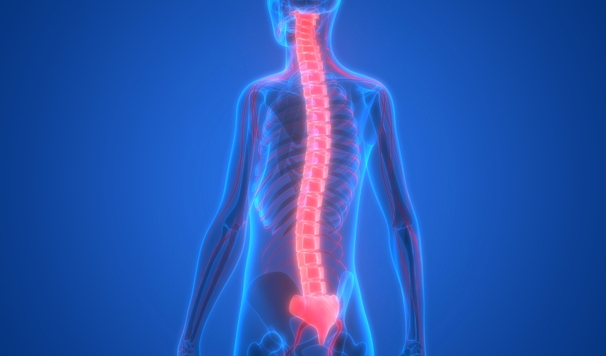 3d printing spinal cord injuries