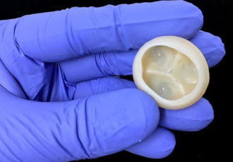 bioprint parts human heart