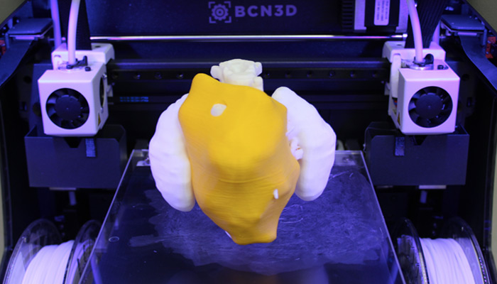 Expert3D