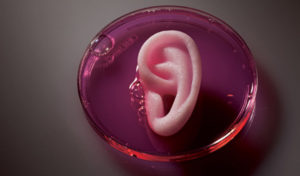 bioimpresión 3D