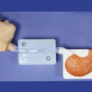 medscan3D