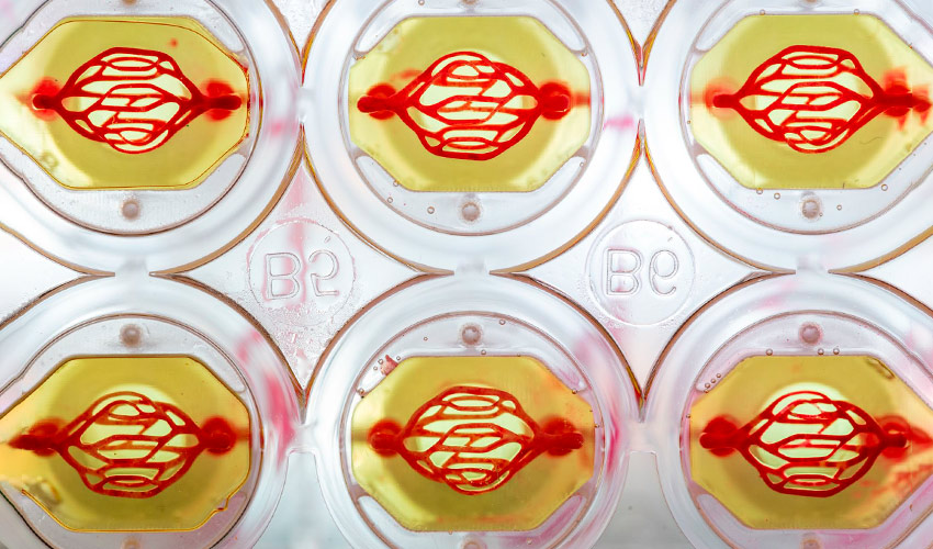 Systemic Bio