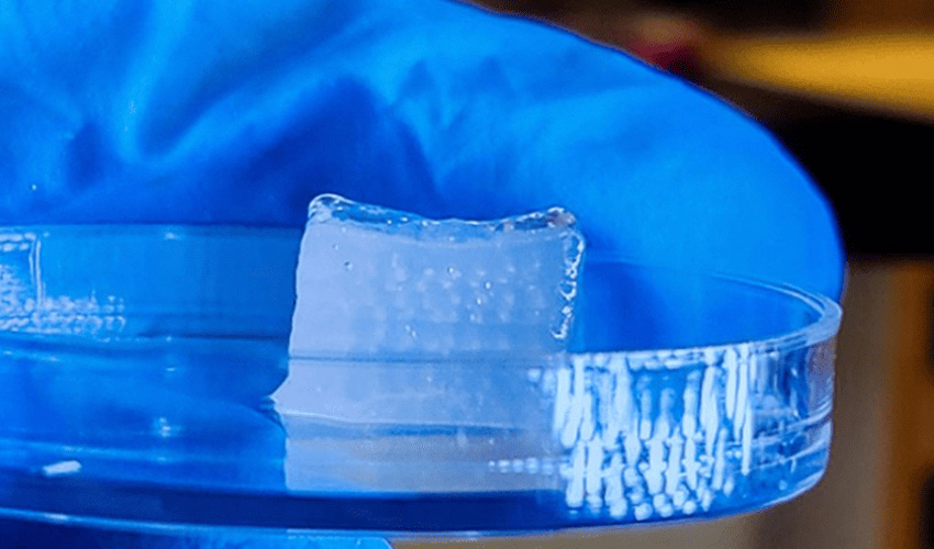 bioimpresión 3D rápida