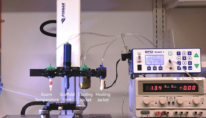 implantes impresos en 3D