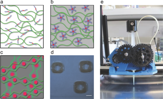 article_bioink2