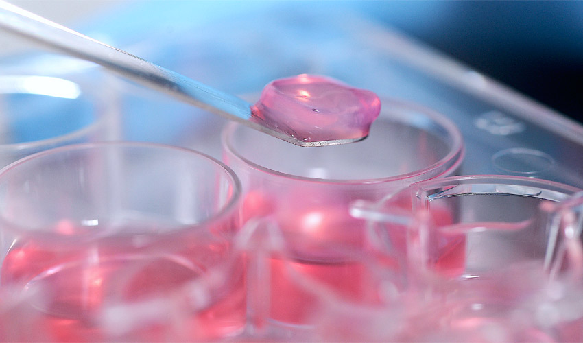 Descanso mensaje amortiguar Biogelx y sus tintas biológicas sintéticas: ¿el futuro para la  bioimpresión? - 3Dnatives