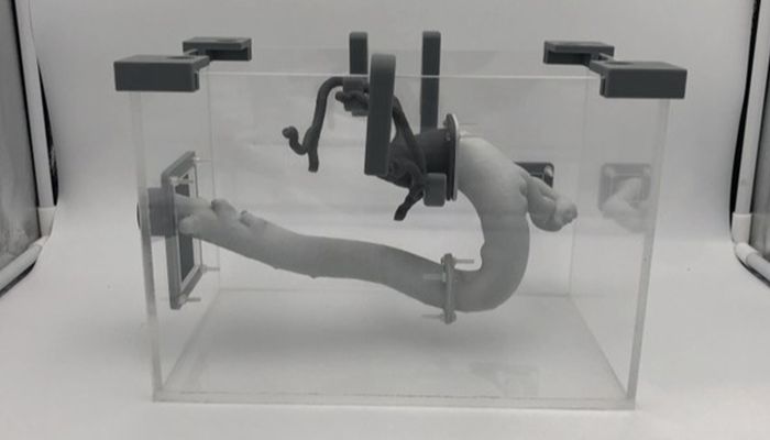 Biomodelo de arteria impreso en 3D