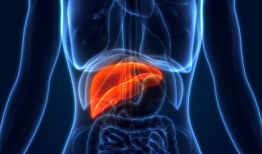 bioimpresión tejido hepático