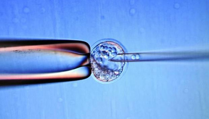 ovario bioimpreso en 3D