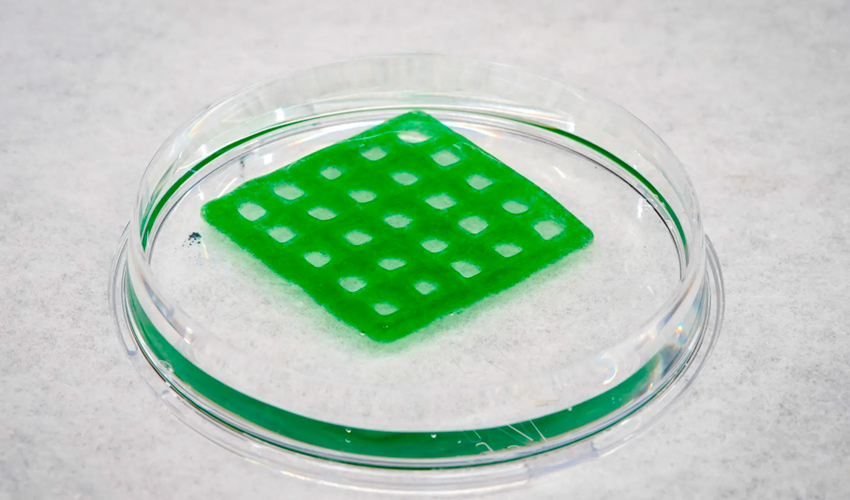 material vivo 3D