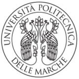 universita_politecnica_delle_marche