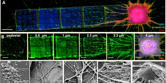 3D microstructures