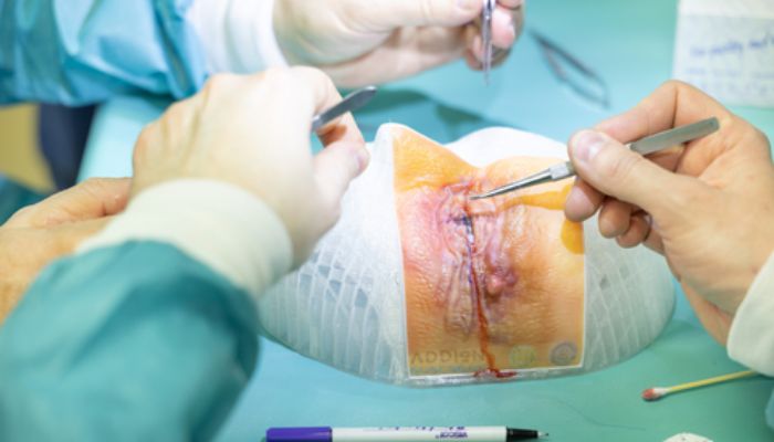 Stratasys Digital Anatomy