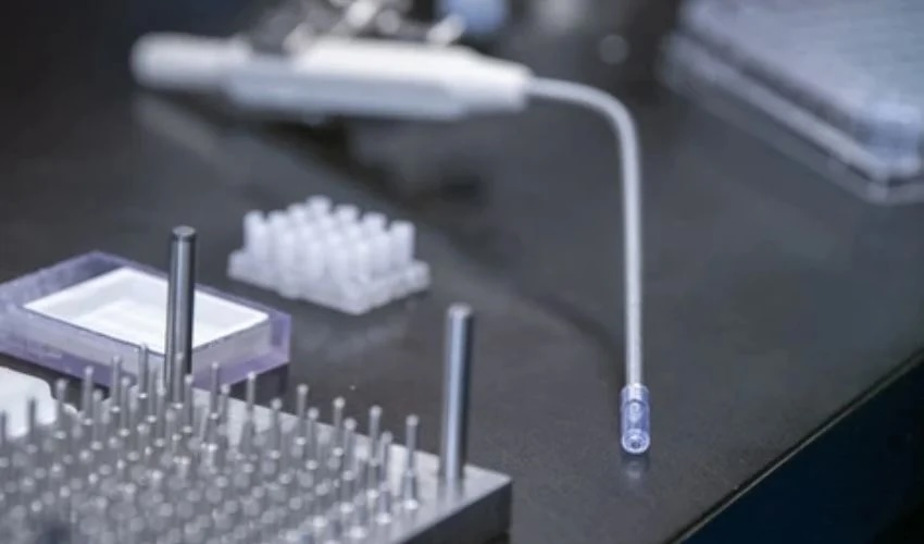 glioblastoma stampa 3D