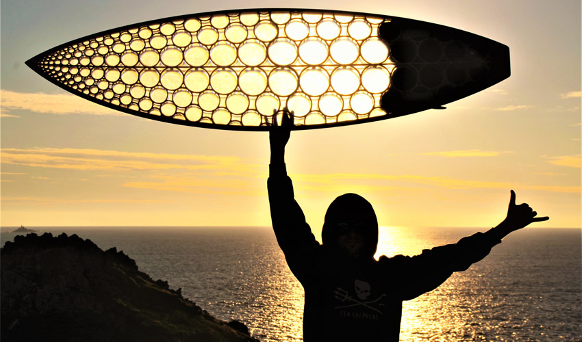 paradoxal surfboards