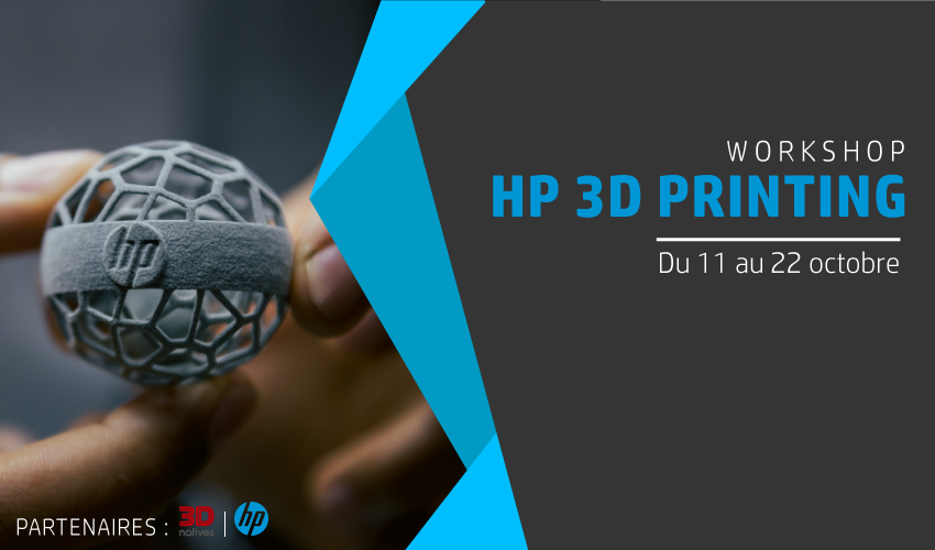 workshop hp 3D printing