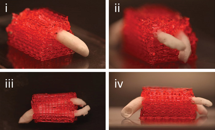 A Network Of 3d Printed Blood Vessels To Facilitate Transplants 3dnatives