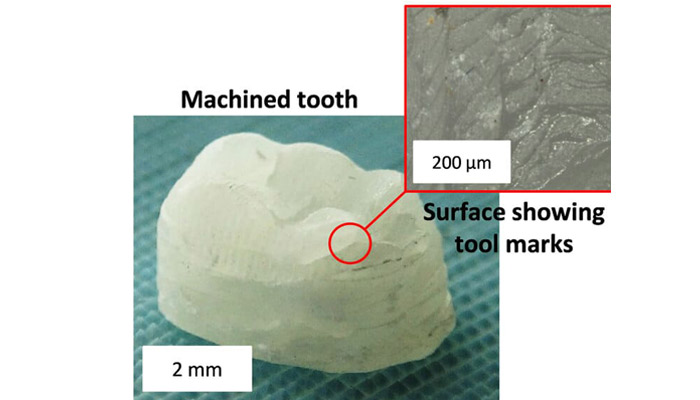 Cellulose Nanocrystals