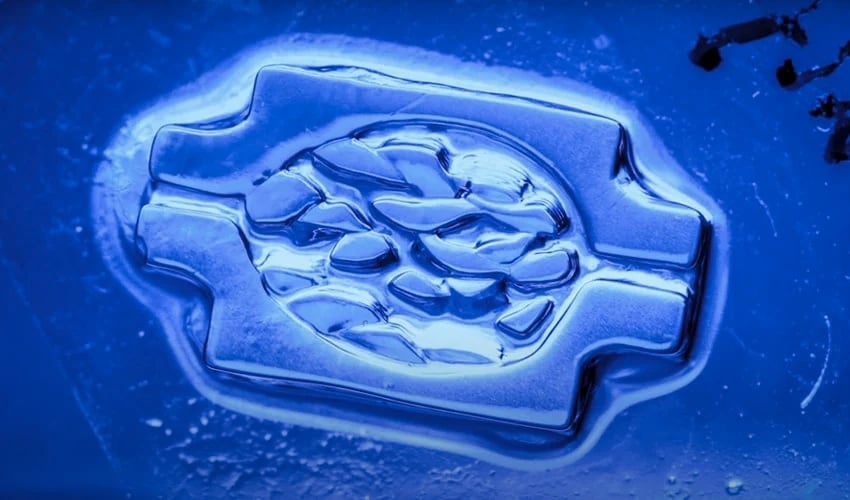 bio-impression 3D tissus vascularisés