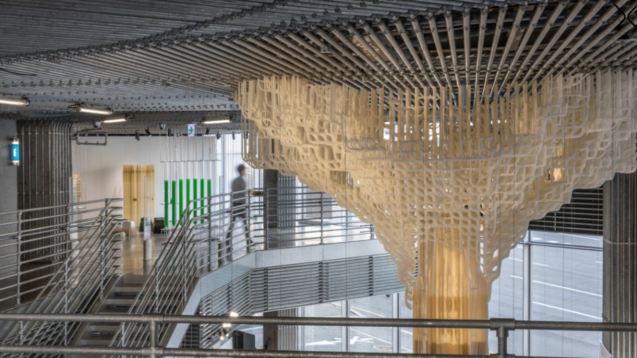 Arbre de vie - Grand format - France Canada Design
