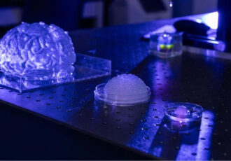 cerveau imprimé en 3D
