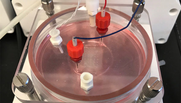 #Startup3D : BIOLIFE4D et la bio-impression d'un coeur humain - 3Dnatives