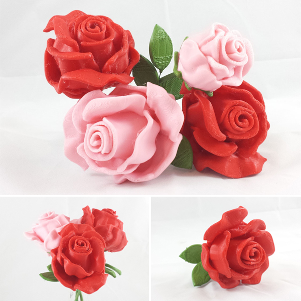 Fleur 3D