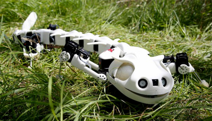 Biorobotics crée des robots qui imitent les mouvements de la nature -  3Dnatives