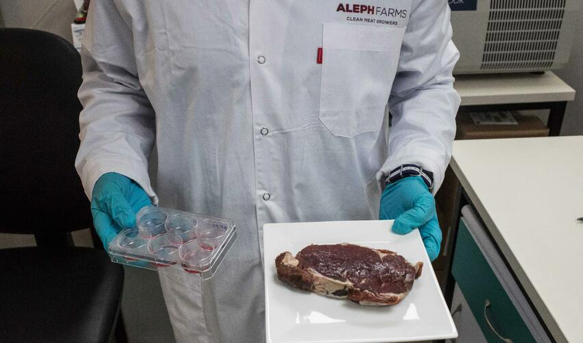 viande imprimée en 3D dans l'espace