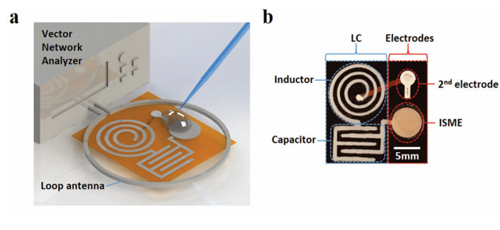 impression 3D nanocellulose