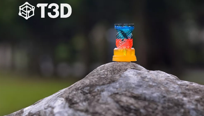 T3D