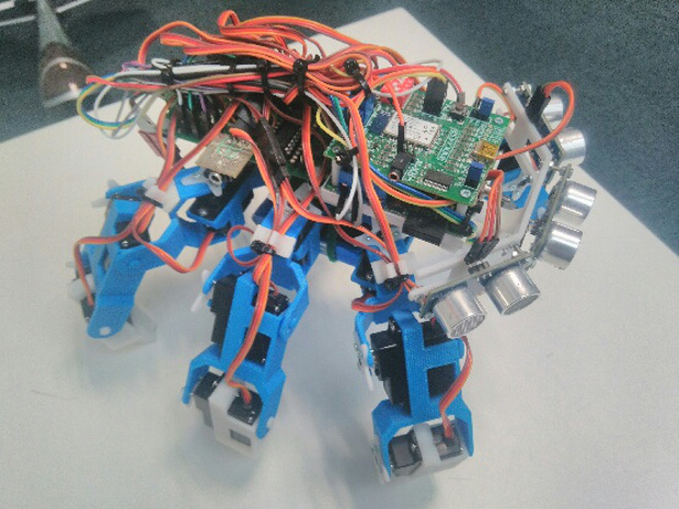 Des araignées ; des robots ; des imprimantes 3D : vous obtenez …