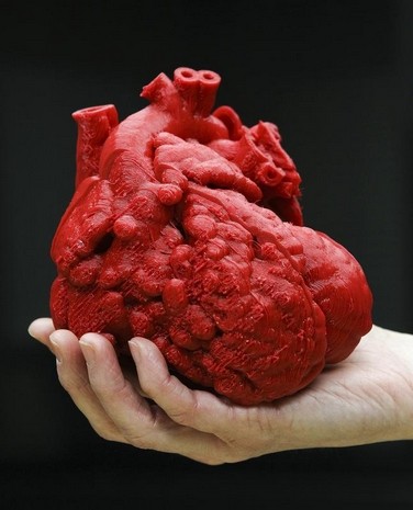 Le coeur de Roland imprimé en 3D