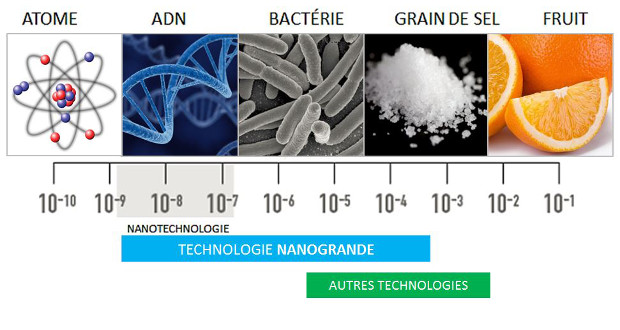 article_nanogrande2