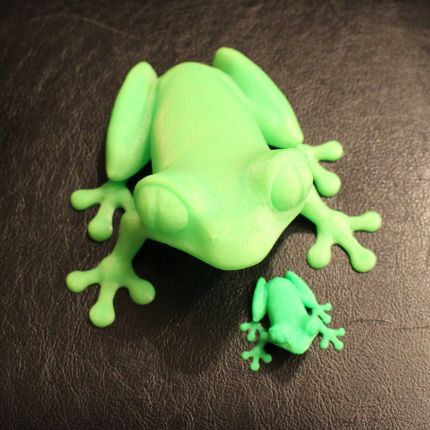 La célèbre TreeFrog (designed by MorenaP) petit et grand format