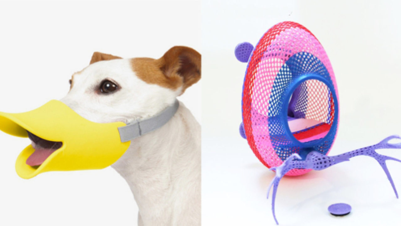Top 10 des objets imprimables en 3D pour votre animal de compagnie -  3Dnatives