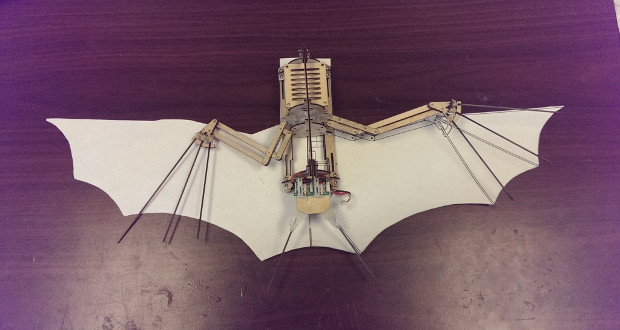 Bat Bot