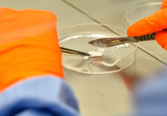 bio-impression de cartilage