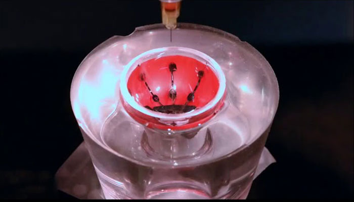 oeil bionique imprimé en 3D
