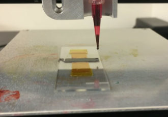 tissue scribe